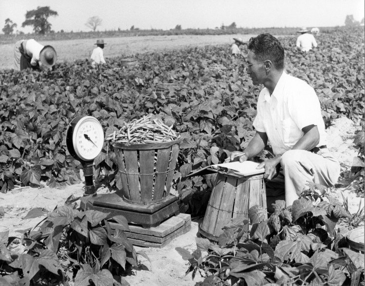 rutgers-lib-20859_jpeg-1